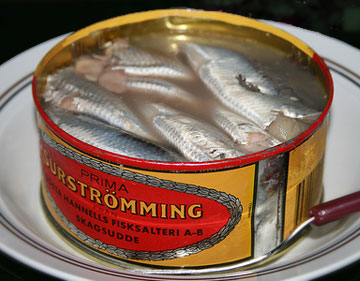 Suspected gas leak was fermented herring